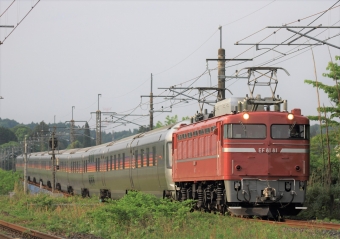JR東日本 国鉄EF81形電気機関車 EF81 81 鉄道フォト・写真 by Kazoo8021さん 蒲須坂駅：2018年05月27日16時ごろ