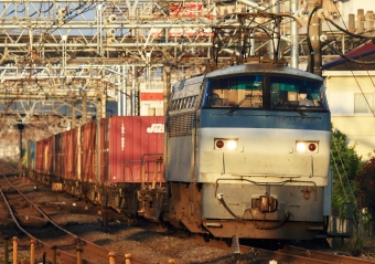JR貨物 国鉄EF66形電気機関車 EF66 105 鉄道フォト・写真 by Kazoo8021さん 大船駅 (JR)：2016年06月11日05時ごろ