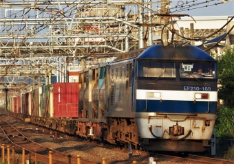 JR貨物 EF210形 EF210-169 鉄道フォト・写真 by Kazoo8021さん 大船駅 (JR)：2016年06月11日05時ごろ