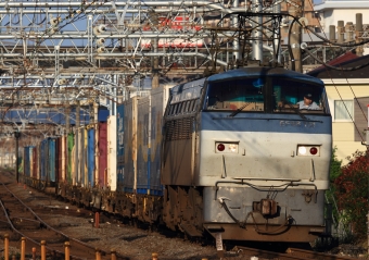 JR貨物 国鉄EF66形電気機関車 EF66 101 鉄道フォト・写真 by Kazoo8021さん 大船駅 (JR)：2016年06月11日05時ごろ