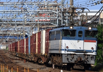 JR貨物 国鉄EF65形電気機関車 EF65 2092 鉄道フォト・写真 by Kazoo8021さん 大船駅 (JR)：2016年06月11日07時ごろ
