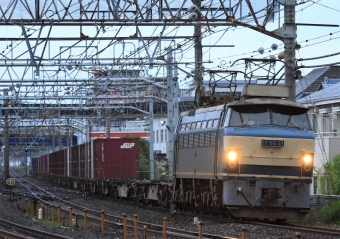 JR貨物 国鉄EF66形電気機関車 EF66 21 鉄道フォト・写真 by Kazoo8021さん 大船駅 (JR)：2016年06月05日05時ごろ