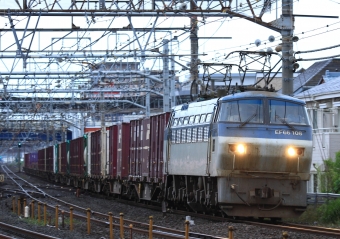JR貨物 国鉄EF66形電気機関車 EF66 108 鉄道フォト・写真 by Kazoo8021さん 大船駅 (JR)：2016年06月05日05時ごろ