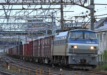 JR貨物 国鉄EF66形電気機関車 EF66 131 鉄道フォト・写真 by Kazoo8021さん 大船駅 (JR)：2016年06月05日05時ごろ