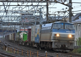JR貨物 EF66 130 鉄道フォト・写真 by Kazoo8021さん 大船駅 (JR)：2016年06月05日05時ごろ