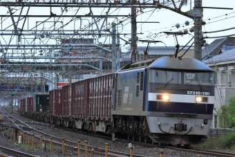JR貨物 EF210形 EF210-150 鉄道フォト・写真 by Kazoo8021さん 大船駅 (JR)：2016年06月05日05時ごろ
