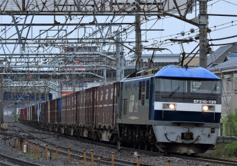 JR貨物 EF210形 EF210-129 鉄道フォト・写真 by Kazoo8021さん 大船駅 (JR)：2016年06月05日06時ごろ