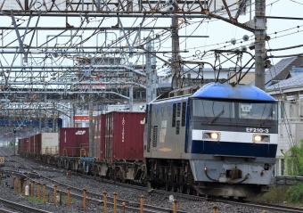JR貨物 EF210形 EF210-3 鉄道フォト・写真 by Kazoo8021さん 大船駅 (JR)：2016年06月05日06時ごろ