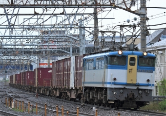 JR貨物 国鉄EF65形電気機関車 EF65 2127 鉄道フォト・写真 by Kazoo8021さん 大船駅 (JR)：2016年06月05日07時ごろ