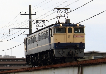 JR貨物 国鉄EF65形電気機関車 EF65 2092 鉄道フォト・写真 by Kazoo8021さん 鶴見駅：2019年04月12日13時ごろ