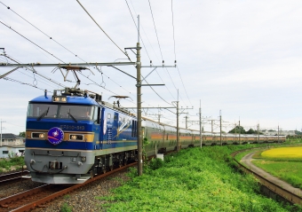 JR東日本 EF510形 カシオペア(特急) EF510-513 鉄道フォト・写真 by Kazoo8021さん 栗橋駅 (JR)：2015年09月20日08時ごろ