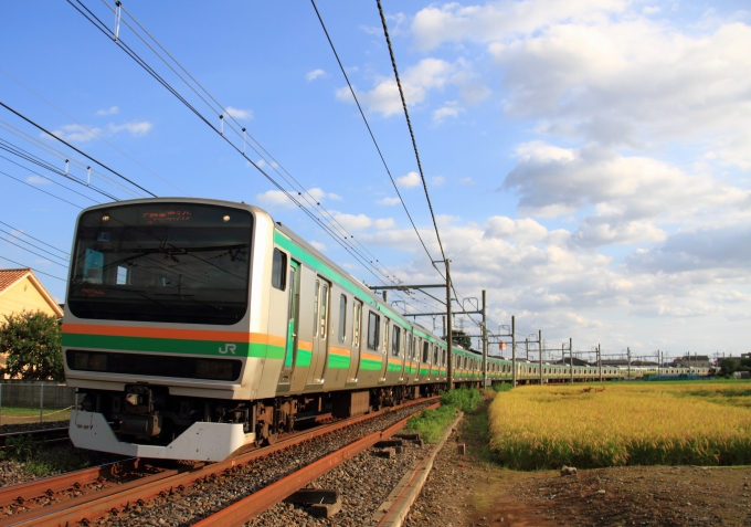 JR東日本 クハE231形 クハE231-8016 鉄道フォト・写真 by Kazoo8021さん 栗橋駅 (JR)：2015年09月20日15時ごろ