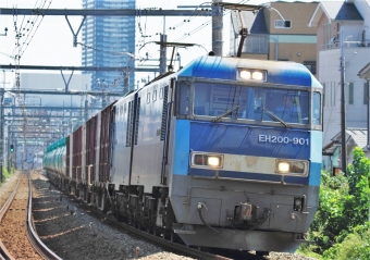 JR貨物 EH200形 EH200-901 鉄道フォト・写真 by Kazoo8021さん 西八王子駅：2015年09月19日10時ごろ