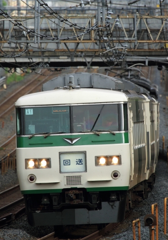 JR東日本 クハ185形 クハ185-1 鉄道フォト・写真 by Kazoo8021さん 北浦和駅：2015年08月11日07時ごろ