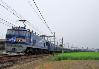 JR東日本 EF510形 EF510-513 鉄道フォト・写真 by Kazoo8021さん 栗橋駅 (JR)：2015年08月01日17時ごろ