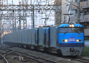 JR貨物 Mc250形 Mc250-1 鉄道フォト・写真 by Kazoo8021さん 浜川崎駅：2015年07月11日05時ごろ