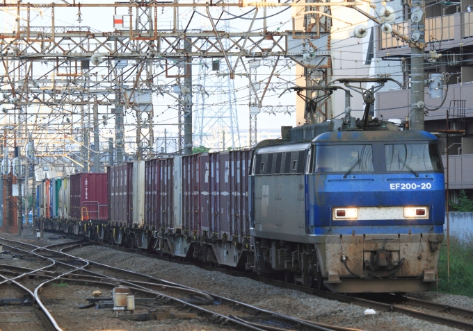 鉄道フォト・写真：JR貨物EF200形電気機関車 EF200-20 浜川崎駅 鉄道フォト・写真 by Kazoo8021さん - 撮影日 2015/07/11 06:04