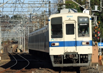 東武鉄道 東武8000系電車 クハ8600形(Tc) 8644 鉄道フォト・写真 by Kazoo8021さん 大宮公園駅：2015年01月03日14時ごろ