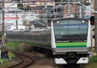 JR東日本 クハE232形 クハE232-6019 鉄道フォト・写真 by Kazoo8021さん 菊名駅 (JR)：2014年08月08日07時ごろ