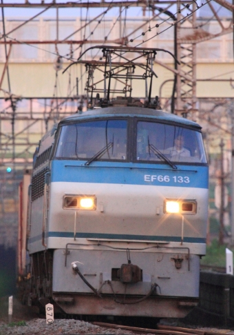 JR貨物 国鉄EF66形電気機関車 EF66 133 鉄道フォト・写真 by Kazoo8021さん 花月総持寺駅：2013年07月06日04時ごろ
