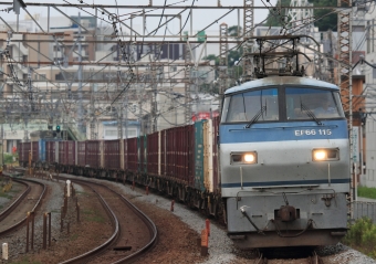 JR貨物 国鉄EF66形電気機関車 EF66 115 鉄道フォト・写真 by Kazoo8021さん 戸塚駅 (JR)：2013年06月29日05時ごろ