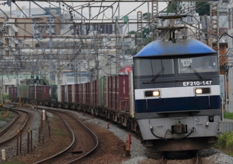 JR貨物 EF210形 EF210-147 鉄道フォト・写真 by Kazoo8021さん 戸塚駅 (JR)：2013年06月29日06時ごろ