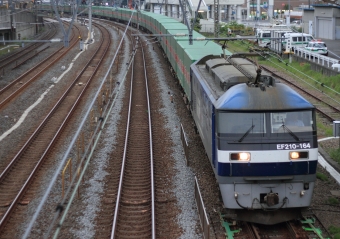 JR貨物 EF210形 EF210-164 鉄道フォト・写真 by Kazoo8021さん 戸塚駅 (JR)：2013年05月25日05時ごろ