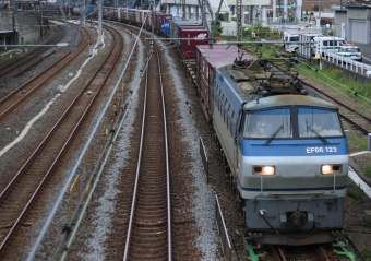 JR貨物 国鉄EF66形電気機関車 EF66 鉄道フォト・写真 by Kazoo8021さん 戸塚駅 (JR)：2013年05月25日05時ごろ