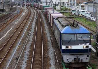 JR貨物 EF210形 EF210-129 鉄道フォト・写真 by Kazoo8021さん 戸塚駅 (JR)：2013年05月25日06時ごろ