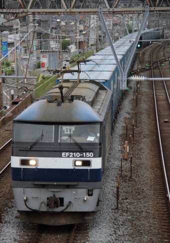 JR貨物 EF210形 EF210-150 鉄道フォト・写真 by Kazoo8021さん 戸塚駅 (JR)：2013年05月25日07時ごろ