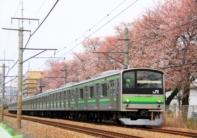 JR東日本 クハ204-67 (205系 ) 車両ガイド | レイルラボ(RailLab)