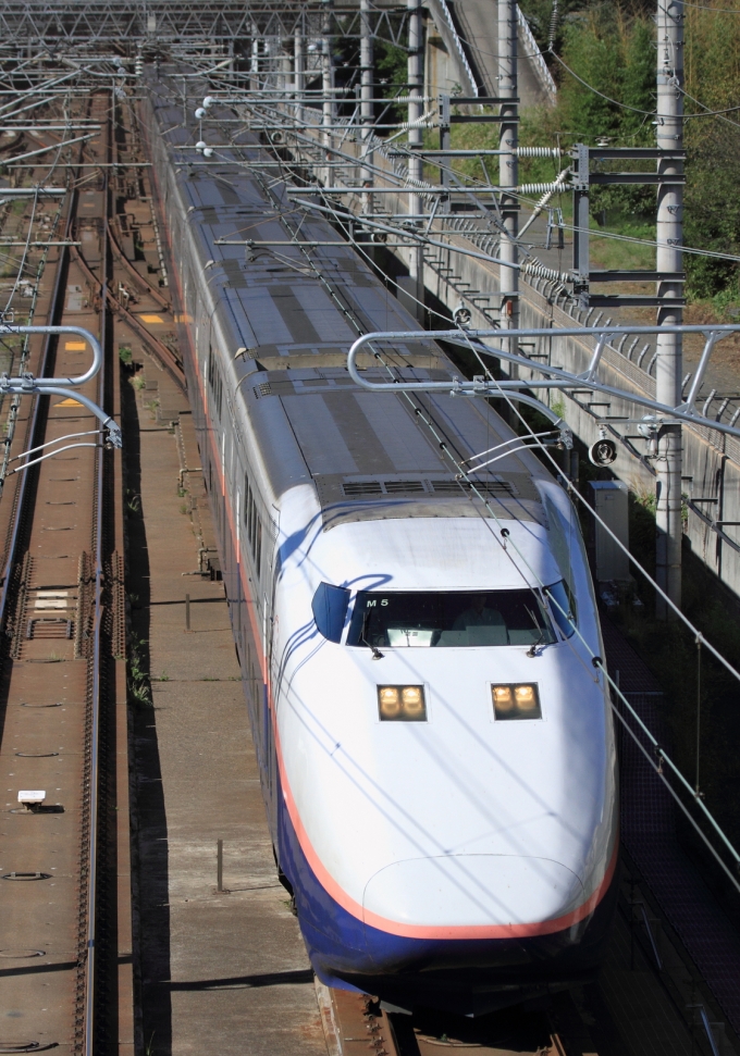 JR東日本 E153-105 (E1系新幹線) 車両ガイド | レイルラボ(RailLab)