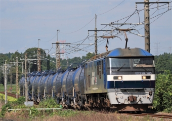 JR貨物 EF210形 EF210-134 鉄道フォト・写真 by Kazoo8021さん 蒲須坂駅：2012年09月05日13時ごろ