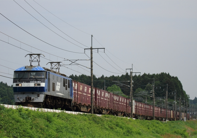 JR貨物 EF210形 EF210-901 鉄道フォト・写真 by Kazoo8021さん 蒲須坂駅：2012年05月26日09時ごろ