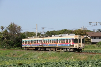 銚子電気鉄道2000形電車 2502 鉄道フォト・写真 by Kazoo8021さん 犬吠駅：2012年05月05日14時ごろ