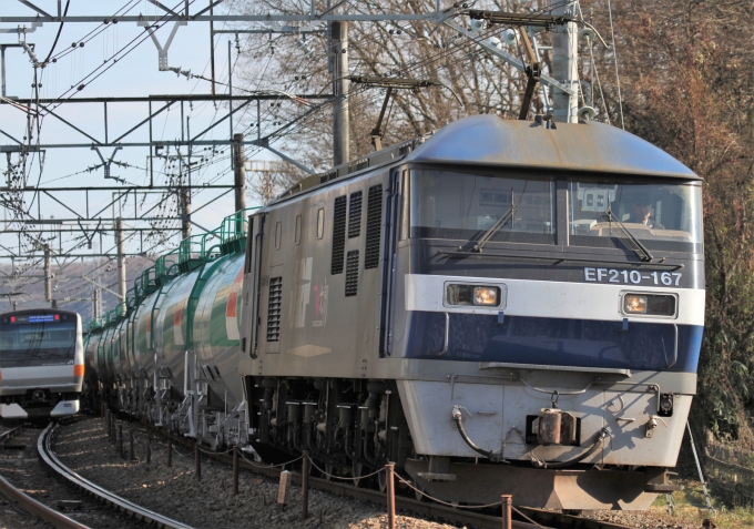 JR貨物EF210形電気機関車 EF210-167 豊田駅 鉄道フォト・写真 by