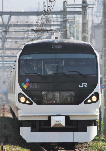 JR東日本 クハE256形 クハE256-2 鉄道フォト・写真 by Kazoo8021さん 西八王子駅：2011年11月13日10時ごろ