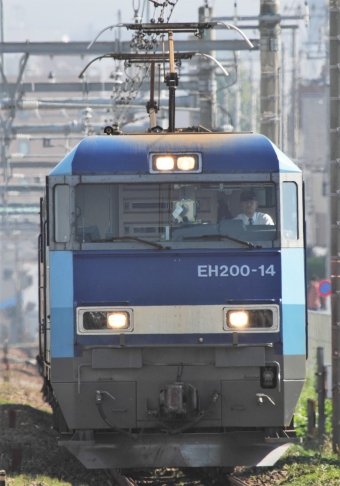 JR貨物 EH200形 EH200-14 鉄道フォト・写真 by Kazoo8021さん 西八王子駅：2011年11月13日10時ごろ