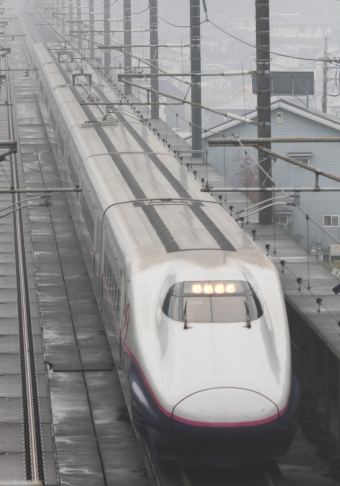 JR東日本 E224形(T2c) E224-1115 鉄道フォト・写真 by Kazoo8021さん 片岡駅：2011年11月06日11時ごろ