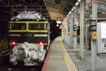 JR西日本 国鉄EF81形電気機関車 EF81 113 鉄道フォト・写真 by 麻婆春雨さん 山科駅 (JR)：2022年02月07日05時ごろ