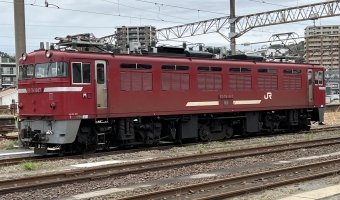 JR貨物 国鉄ED76形電気機関車 ED76 1017 鉄道フォト・写真 by dj_uskeさん ：2022年03月21日12時ごろ