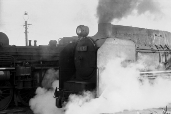 国鉄D51形蒸気機関車 D5145 鉄道フォト・写真 by tsubame0215さん 原田駅 (福岡県)：1971年01月10日00時ごろ