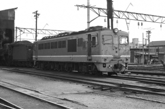 国鉄DF50形ディーゼル機関車 DF50  509 鉄道フォト・写真 by tsubame0215さん ：1973年03月19日00時ごろ