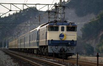 国鉄EF65形電気機関車 カートレイン九州 EF65-1107 鉄道フォト・写真 by tsubame0215さん 金谷駅 (JR)：1987年03月28日00時ごろ