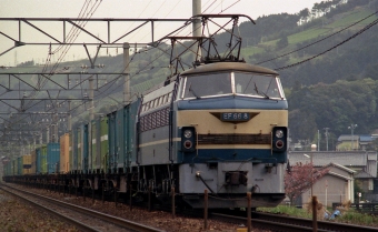 JR九州 EF66 EF66-08 鉄道フォト・写真 by tsubame0215さん 金谷駅 (JR)：1987年09月24日00時ごろ