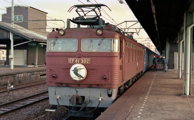 JR九州 国鉄EF81形電気機関車 はやぶさ(特急) EF81-302 鉄道フォト・写真 by tsubame0215さん 下関駅：1996年01月14日00時ごろ