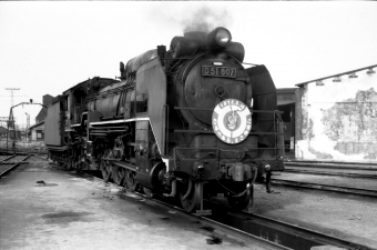 国鉄D51形蒸気機関車 D51 807 鉄道フォト・写真 by tsubame0215さん ：1972年03月15日00時ごろ