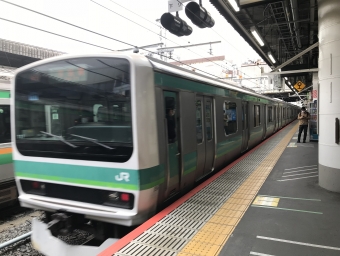 JR東日本E501系電車 鉄道フォト・写真 by すこすこマンさん 上野駅 (JR)：2020年03月28日09時ごろ