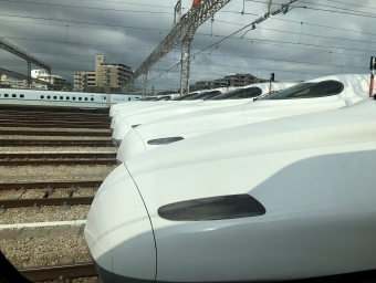 JR西日本 N700系新幹線電車 鉄道フォト・写真 by すこすこマンさん 博多南駅：2020年07月17日15時ごろ