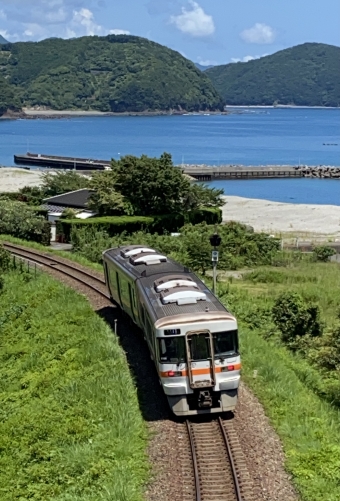 JR東海 鉄道フォト・写真 by ポムフリットさん 三野瀬駅：2021年07月24日12時ごろ